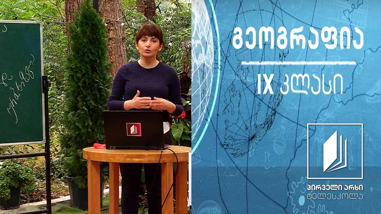 გეოგრაფია IX კლასი - საქართველოს მოსახლეობის სტრუქტურა და ტერიტორიული განლაგება #ტელესკოლა