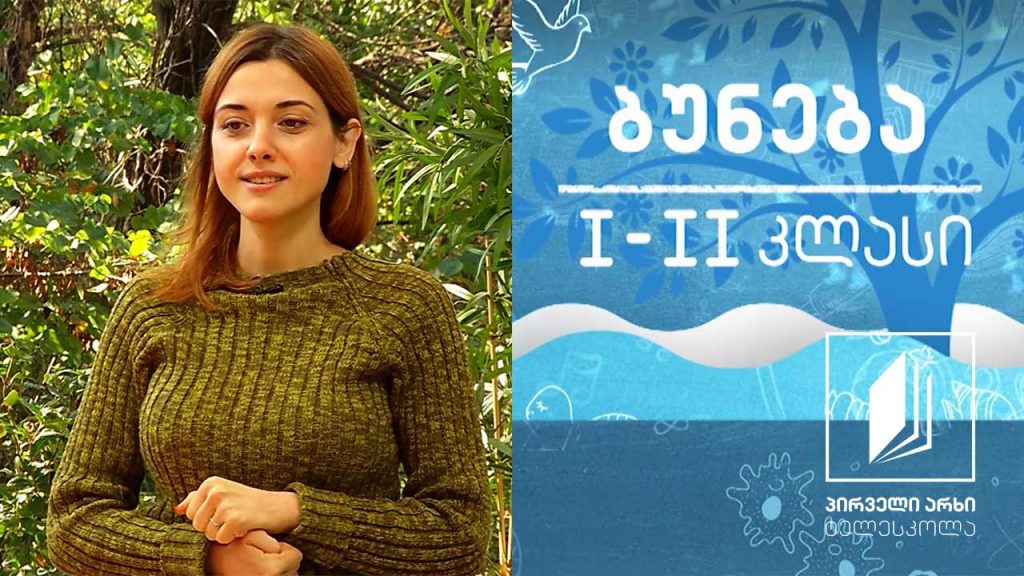 ბუნება, I-II კლასი – მხოხავი ცხოველები #ტელესკოლა