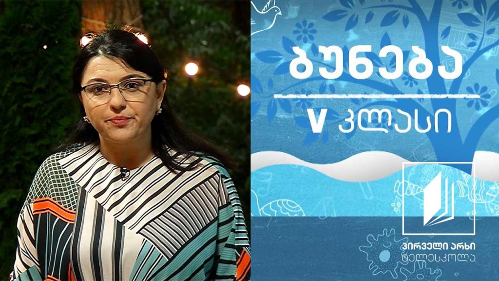 ბუნება, V კლასი – ეკოსისტემა #ტელესკოლა