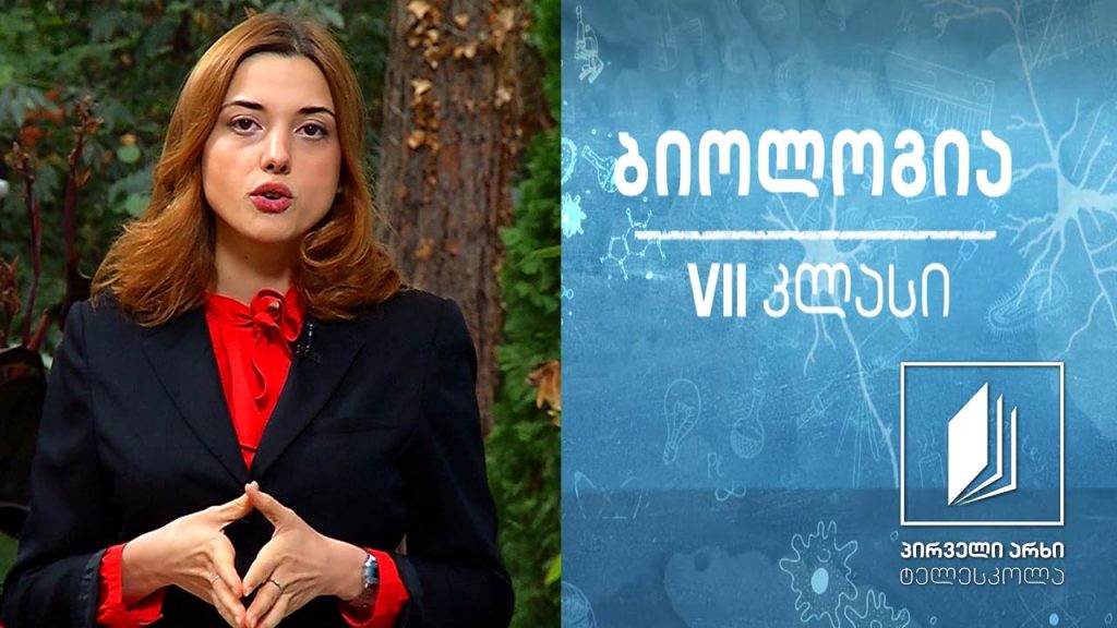 ბიოლოგია VII კლასი – ფოტოსინთეზი. ფოტოსინთეზის პროცესის კვლევა #ტელესკოლა