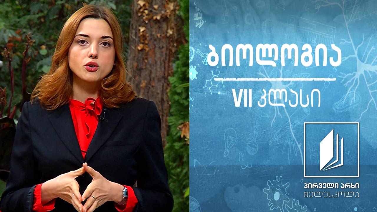 ბიოლოგია VII კლასი - ფოტოსინთეზი. ფოტოსინთეზის პროცესის კვლევა #ტელესკოლა