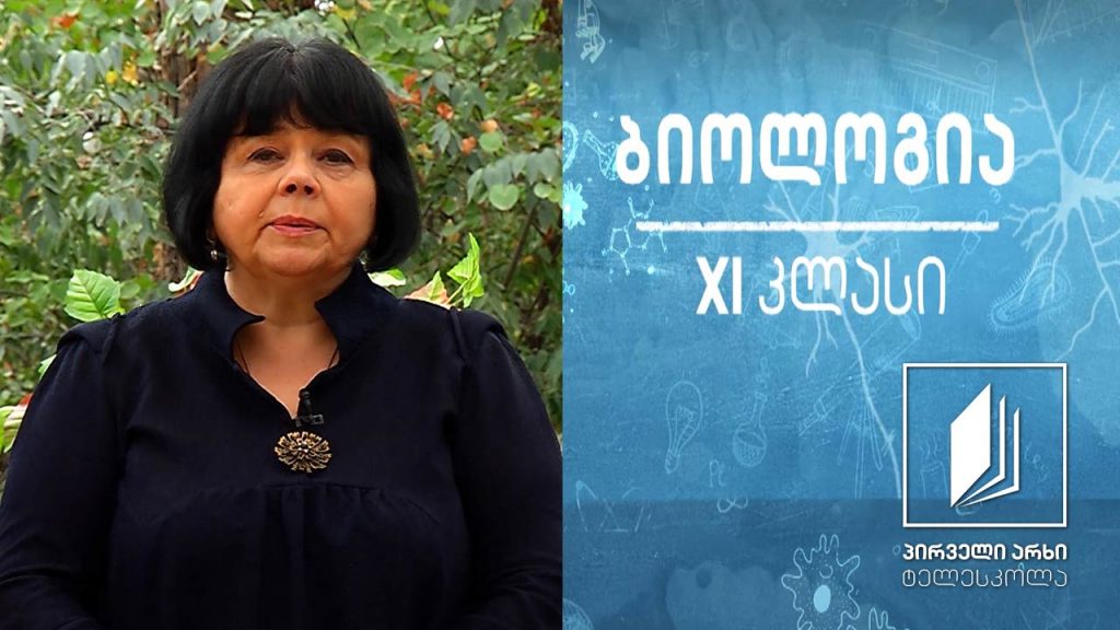 ბიოლოგია XI კლასი – სქესის გენეტიკა და სქესთან შეჭიდული ნიშნების დამკვიდრება #ტელესკოლა