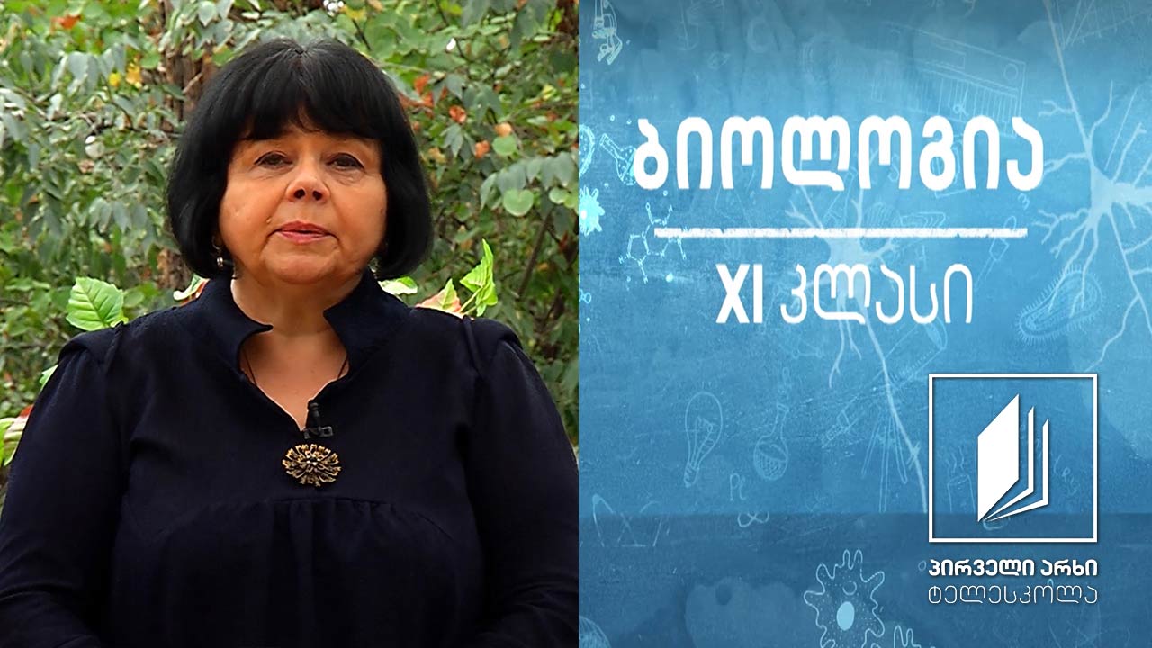 ბიოლოგია XI კლასი - სქესის გენეტიკა და სქესთან შეჭიდული ნიშნების დამკვიდრება #ტელესკოლა