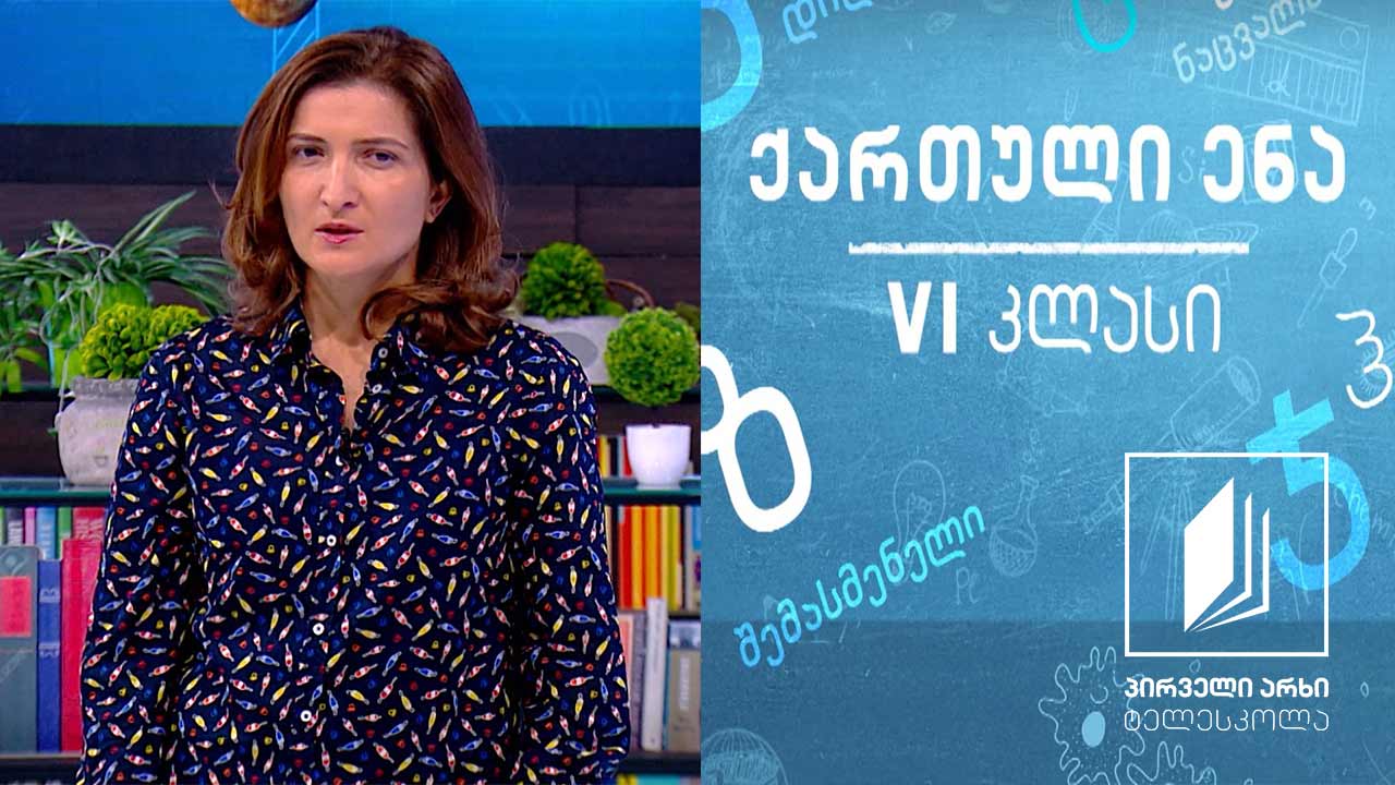 ქართული, VI კლასი - შეზღუდული შესაძლებლობები არ არსებობს #ტელესკოლა