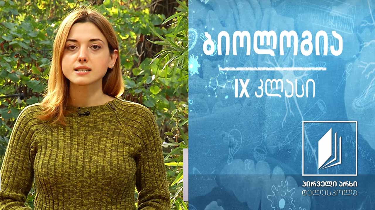 ბიოლოგია IX კლასი - ცვალებადობების ტიპები, მემკვიდრული ცვალებადობა #ტელესკოლა