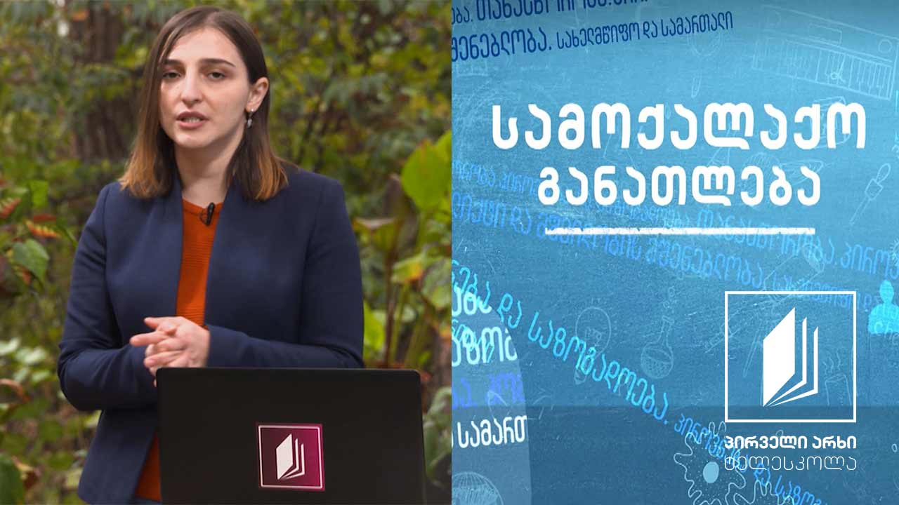 სამოქალაქო განათლება - ბულინგი #ტელესკოლა