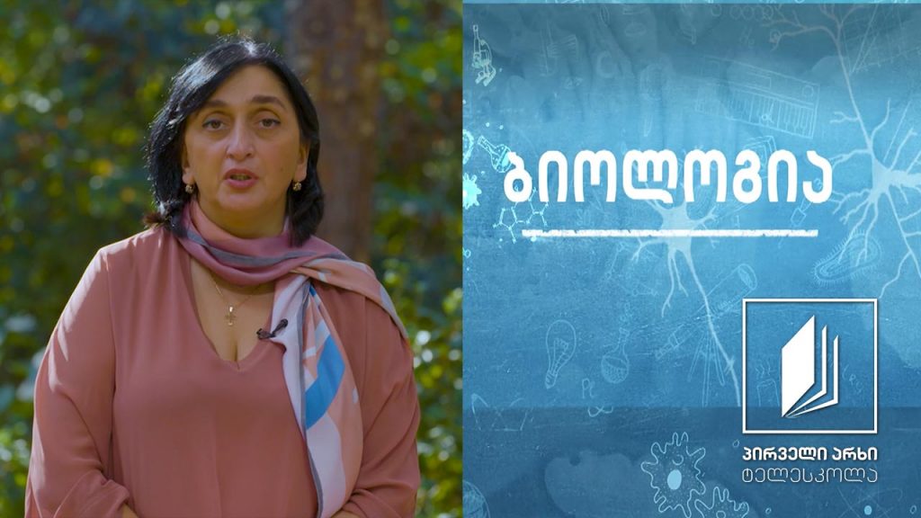 ბიოლოგია – მოზარდობა #ტელესკოლა