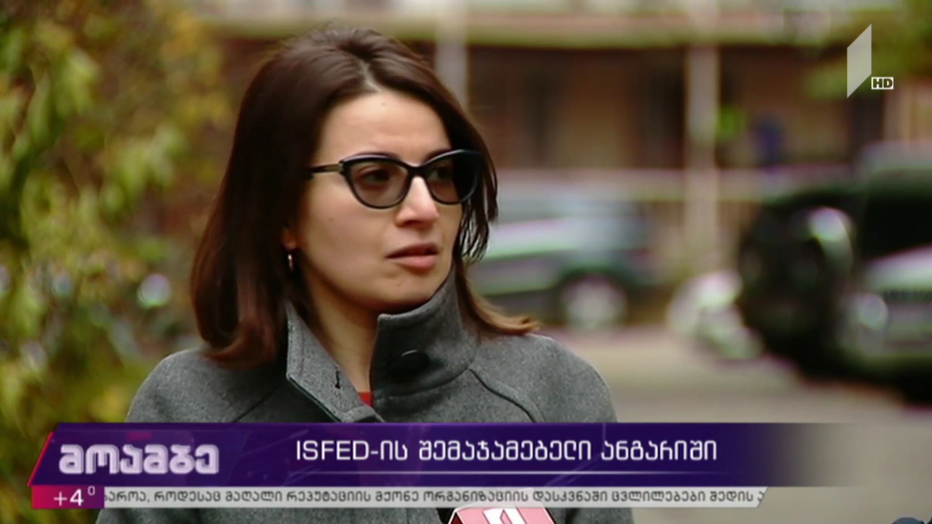 ISFED-ის შემაჯამებელი ანგარიში - ელენე ნიჟარაძის განცხადება