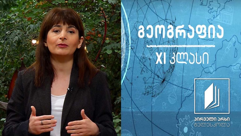 გეოგრაფია XI კლასი – ეკონომიკური გლობალიზაცია #ტელესკოლა