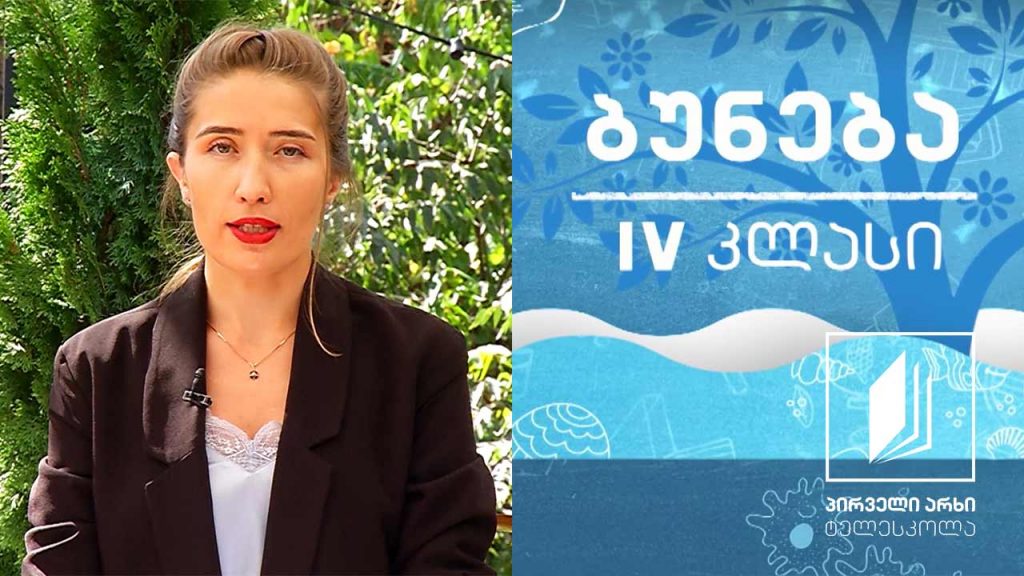 ბუნება, IV კლასი – ხმელეთი და წყალი; გლობუსის შექმნის ისტორია #ტელესკოლა