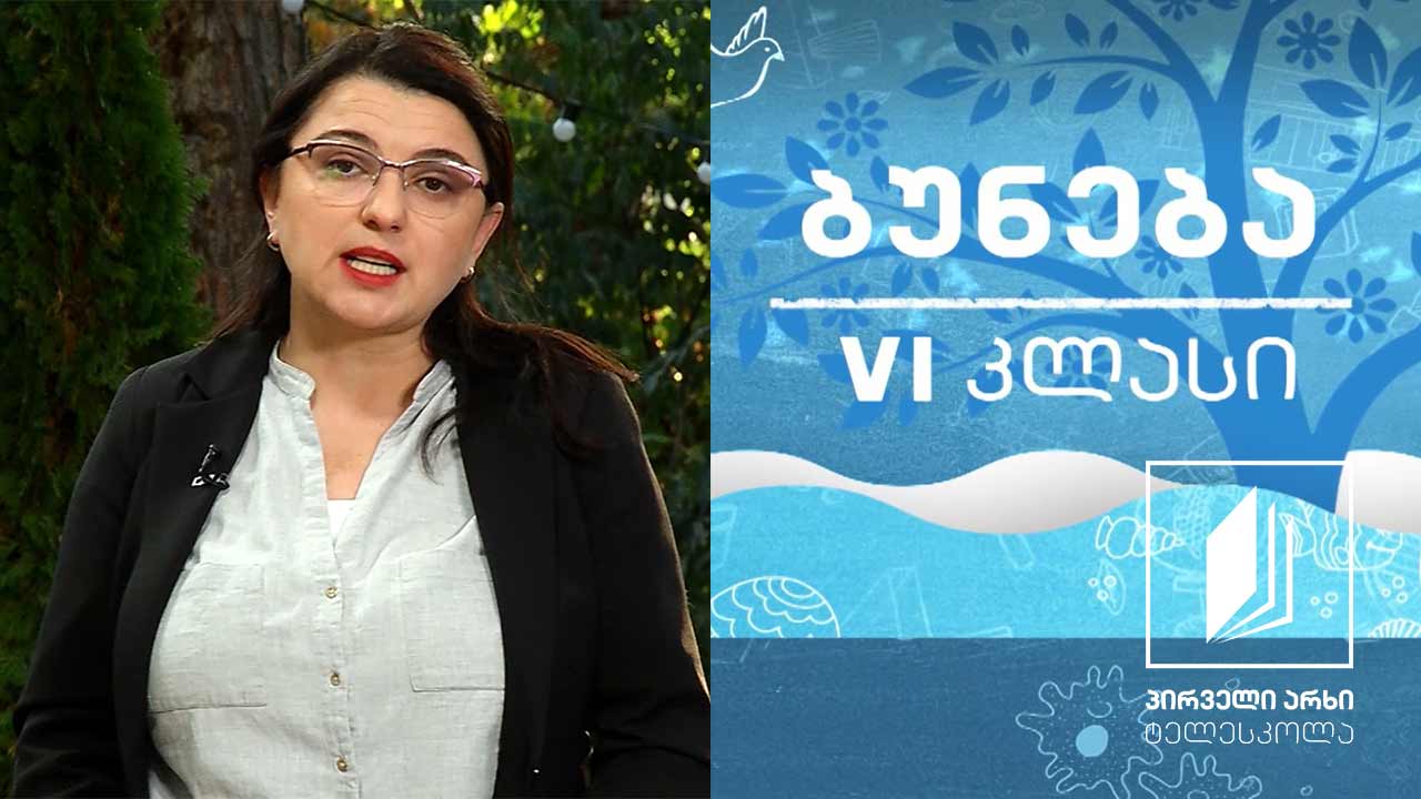 ბუნება, VI კლასი - საჭმლის მონელება; ჯანსაღი კვება #ტელესკოლა