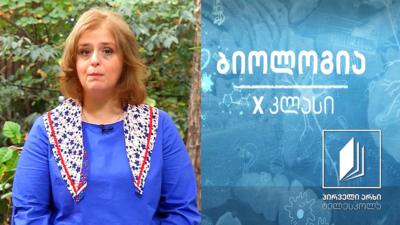 ბიოლოგია X კლასი - წვრილი ნაწლავის აგებულება და ფუნქციები. მსხვილი ნაწლავის ფუნქციები #ტელესკოლა