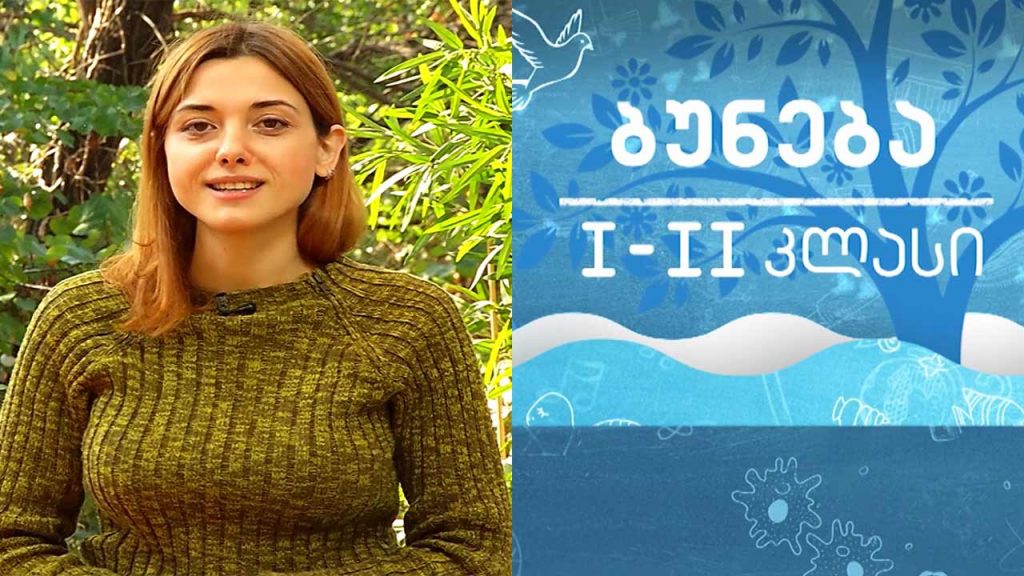 ბუნება, I-II კლასი – მცენარეები #ტელესკოლა