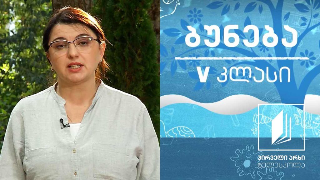 ბუნება, V კლასი – ეკოლოგიური ფაქტორები – სინათლე, სითბო, ტენიანობა #ტელესკოლა