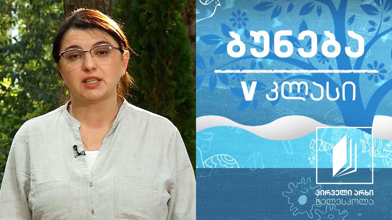 ბუნება, V კლასი - ეკოლოგიური ფაქტორები - სინათლე, სითბო, ტენიანობა #ტელესკოლა