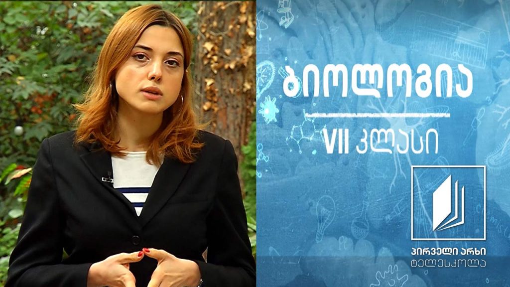 ბიოლოგია VII კლასი – მცენარეთა სუნთქვის თავისებურებები; ნივთიერებათა ტრანსპორტი მცენარეებში #ტელესკოლა