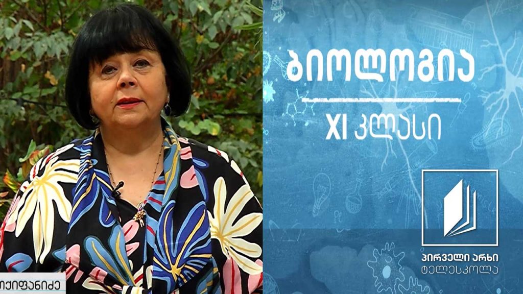 ბიოლოგია XI კლასი – მემკვიდრული ცვალებადობის ფორმები #ტელესკოლა
