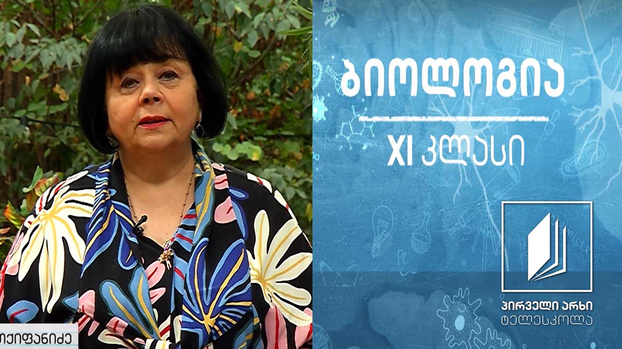 ბიოლოგია XI კლასი - მემკვიდრული ცვალებადობის ფორმები #ტელესკოლა