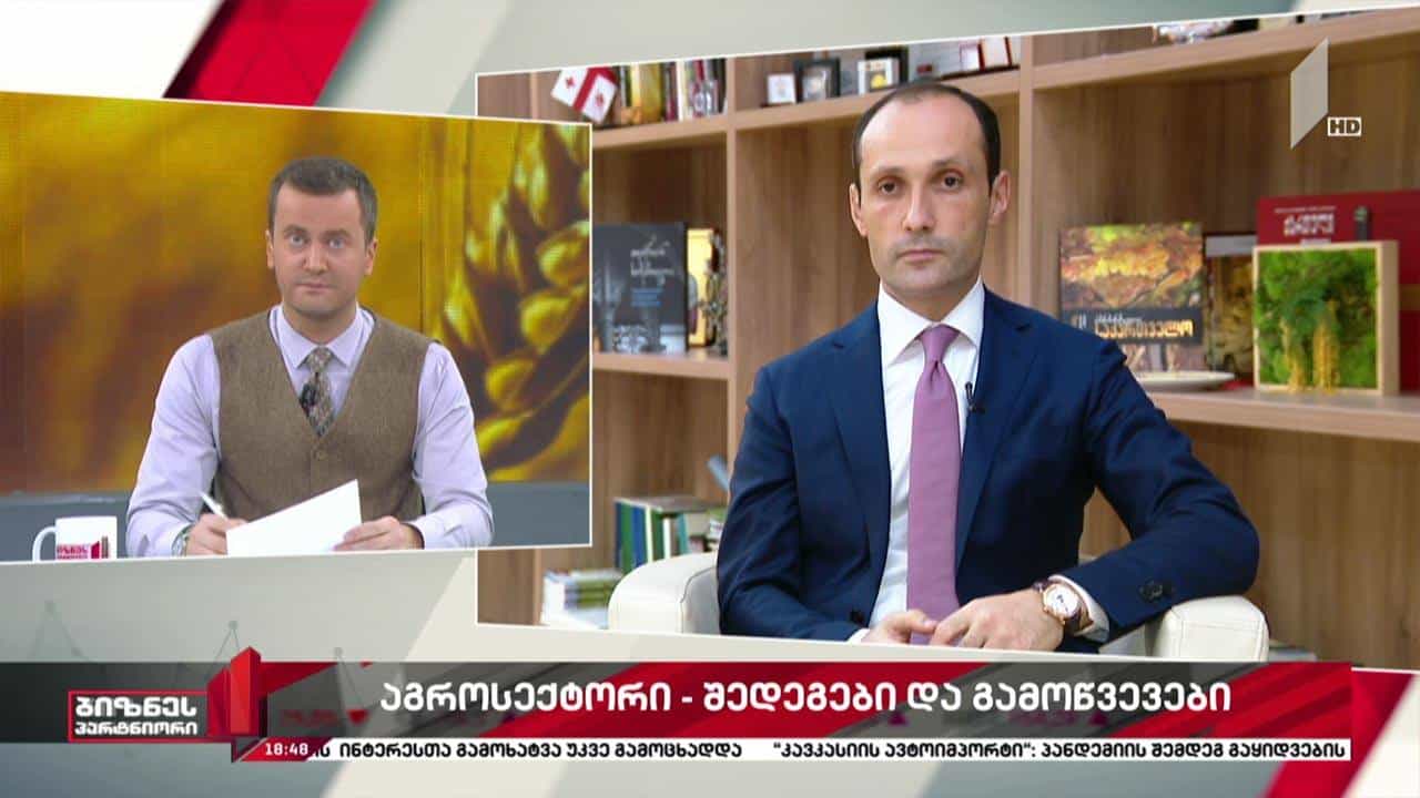 სოფლის მეურნეობის სექტორი - შედეგები და გამოწვევები