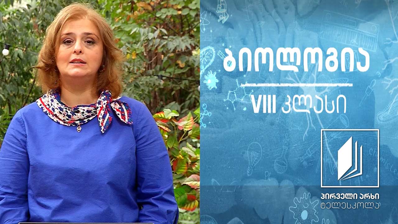 ბიოლოგია VIII კლასი - ალკოჰოლისა და თამბაქოს მოხმარების გავლენა ჯანმრთელობაზე #ტელესკოლა