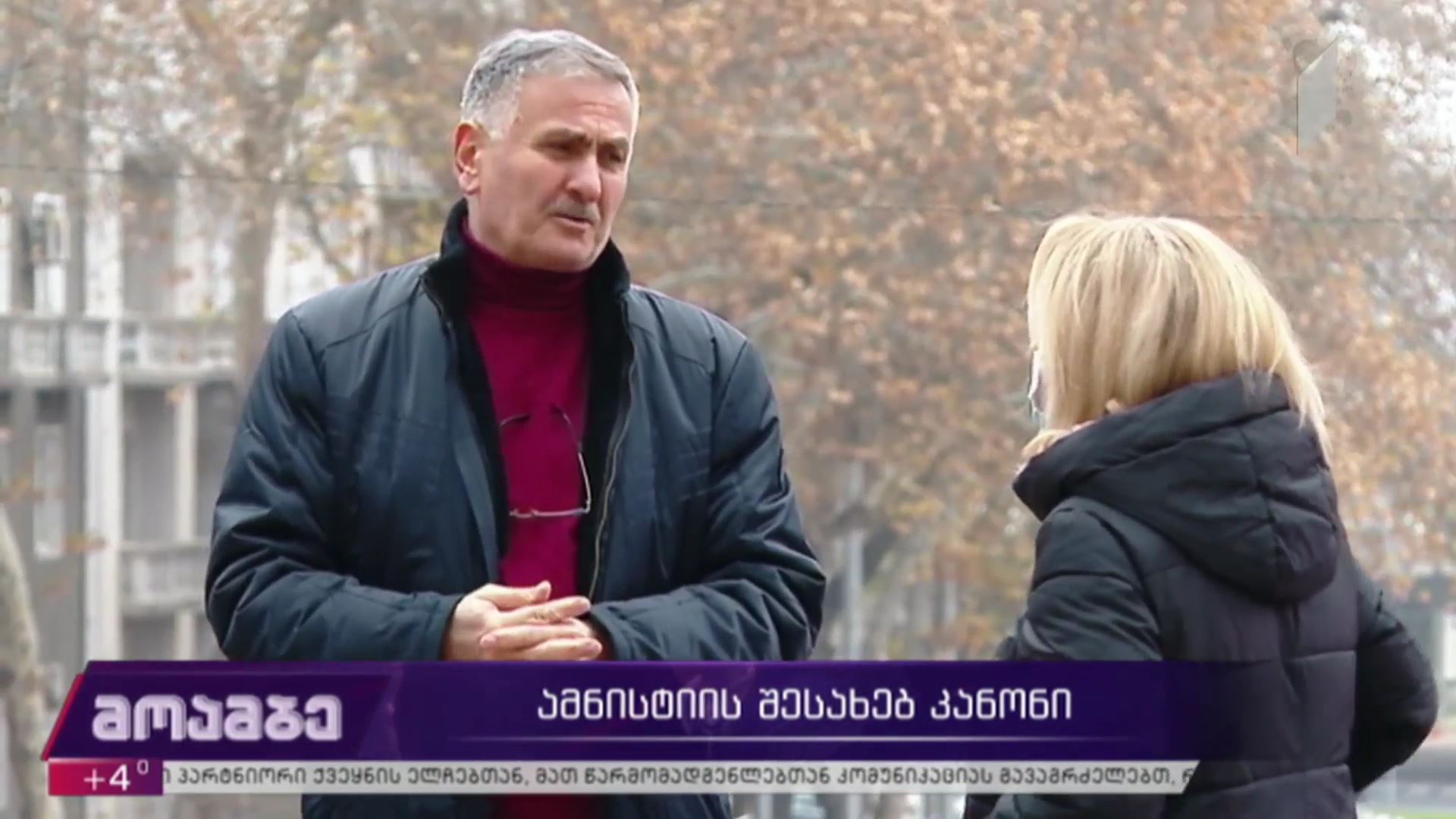 ამნისტიის შესახებ კანონი