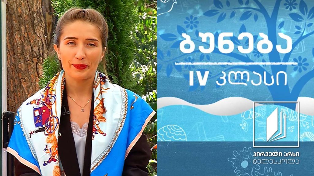 ბუნება, IV კლასი – ხერხემლიანი ცხოველები; ქვეწარმავლები, ძუძუმწოვრები და ფრინველები #ტელესკოლა