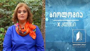 ბიოლოგია X კლასი – საკვების შემადგენლობა. ვიტამინები და მათი დანიშნულება #ტელესკოლა