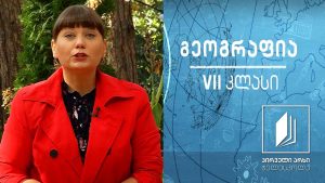 გეოგრაფია VII კლასი – ჭაობები, წყალსაცავები და მყინვარები #ტელესკოლა