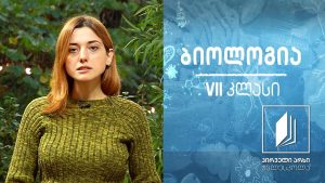 ბიოლოგია VII კლასი – სპოროვანი მცენარეები. ხავსები და გვიმრები. ხავსების მნიშვნელობა. მცენარის მნიშვნელობა, მცენარეთა ბიომრავალფეროვნება და მათი დაცვა #ტელესკოლა