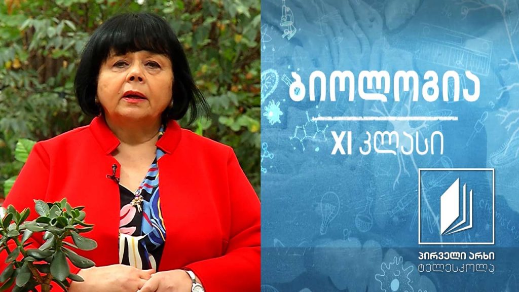 ბიოლოგია XI კლასი – არამემკვიდრული ანუ მოდიფიკაციური ცვალებადობა #ტელესკოლა