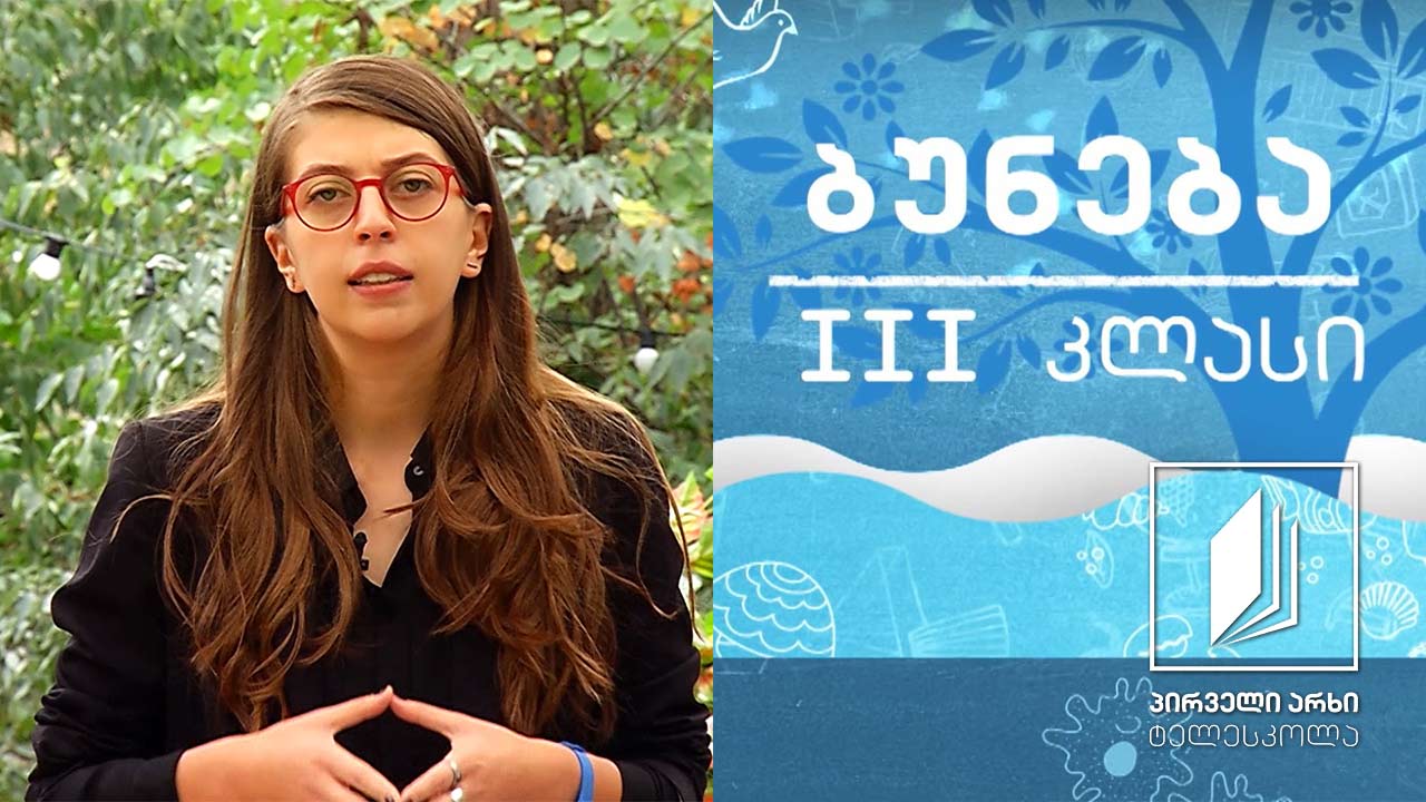 ბუნება, III კლასი - მცენარეთა დაცვა #ტელესკოლა