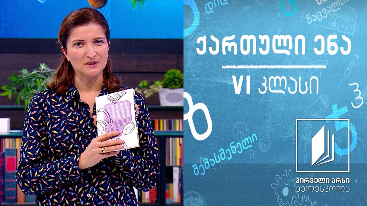 ქართული, VI კლასი - ანოტაცია #ტელესკოლა