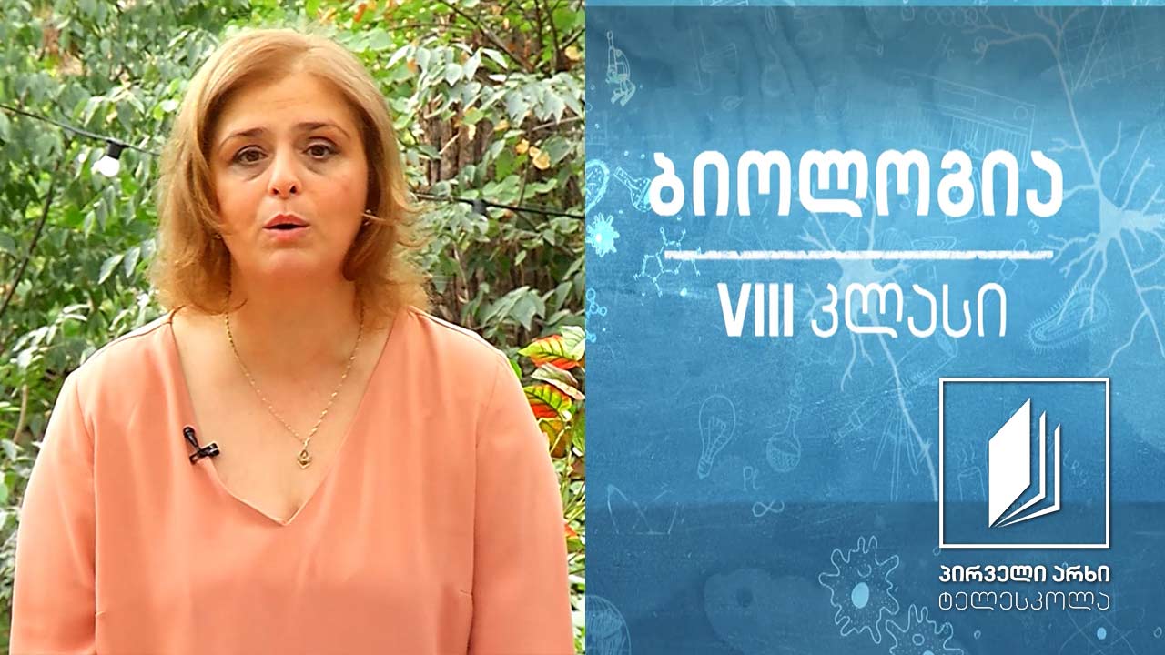 ბიოლოგია VIII კლასი - ჯანსაღი კვება და კვებითი დარღვევები #ტელესკოლა