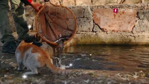 FERMA WEB HD 27.12.mp4_000009248