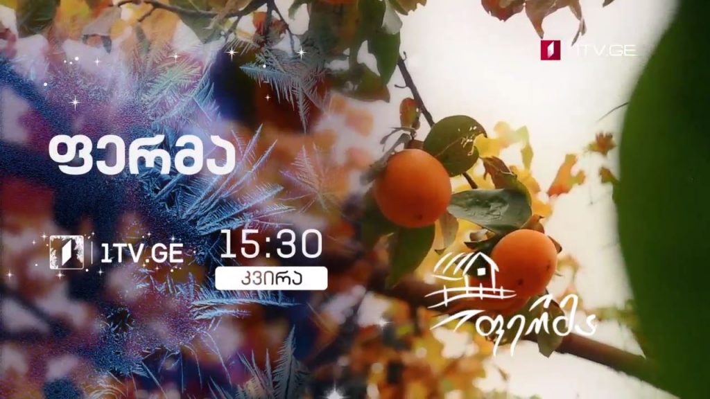 „ფერმა“ – 27 დეკემბერს, 15:30