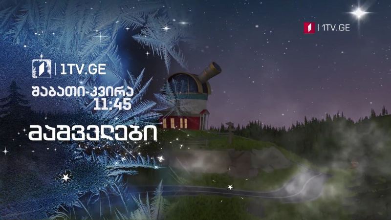 „მაშველები” – 2 და 3 იანვარს, 11:45
