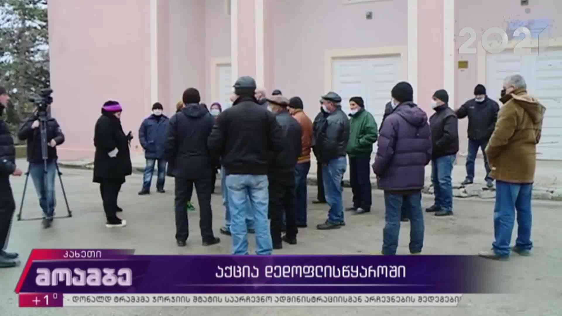 აქცია დედოფლისწყაროში