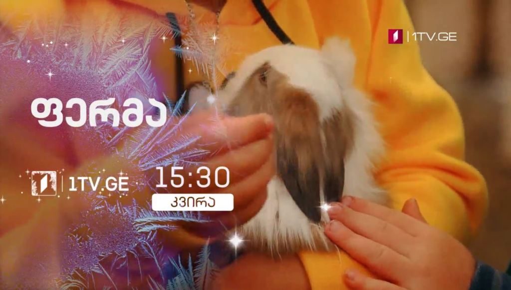 „ფერმა“ – 10 იანვარს, 15:30
