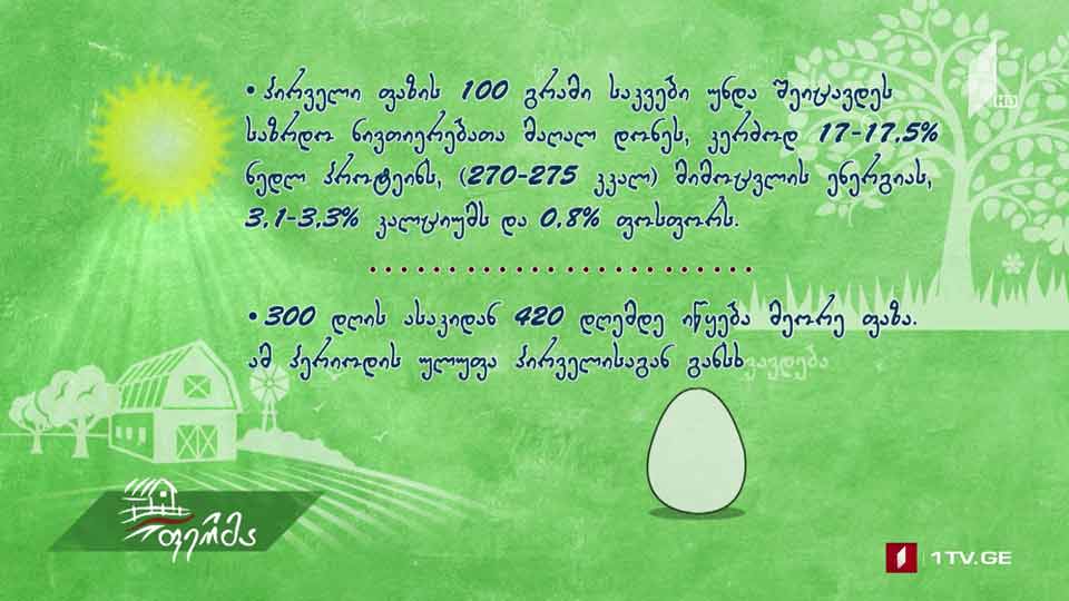 #რჩევები ქათმის კვება