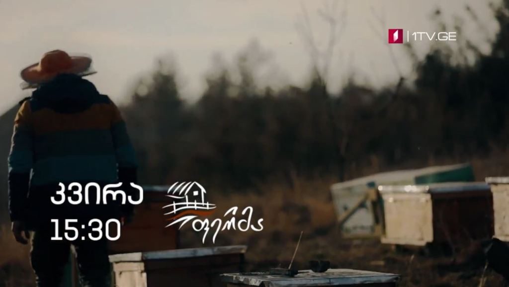 „ფერმა“ – 17 იანვარს, 15:30