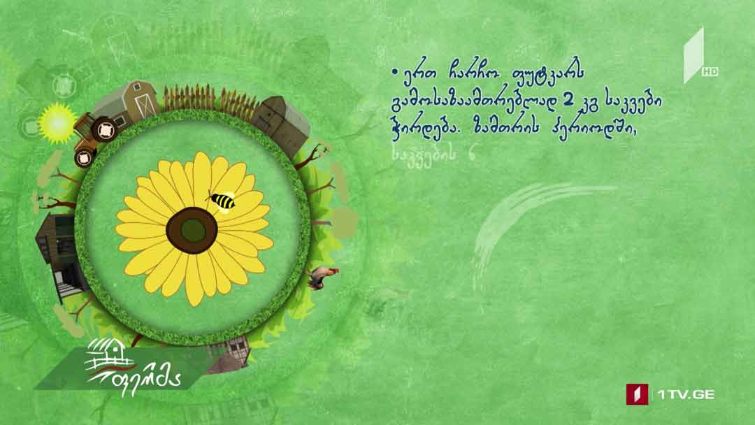 #რჩევები ფუტკრის დაზამთრებისთვის მომზადება