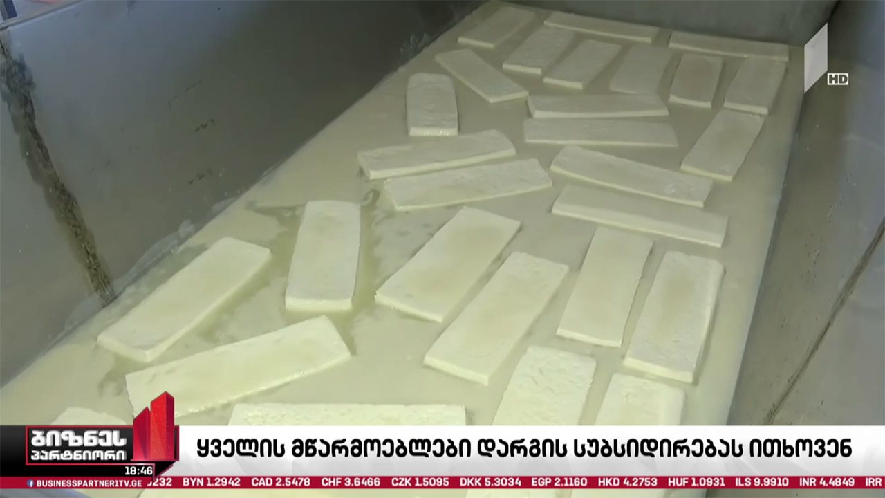 ყველის მწარმოებლები სუბსიდირებას ითხოვენ