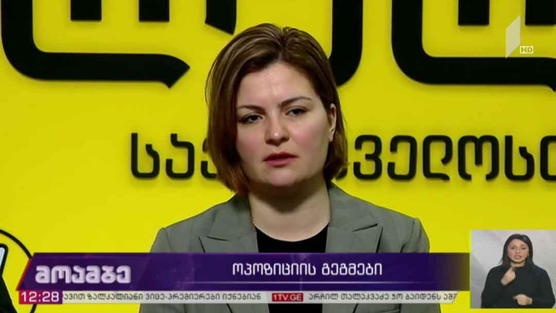 ოპოზიციის გეგმები
