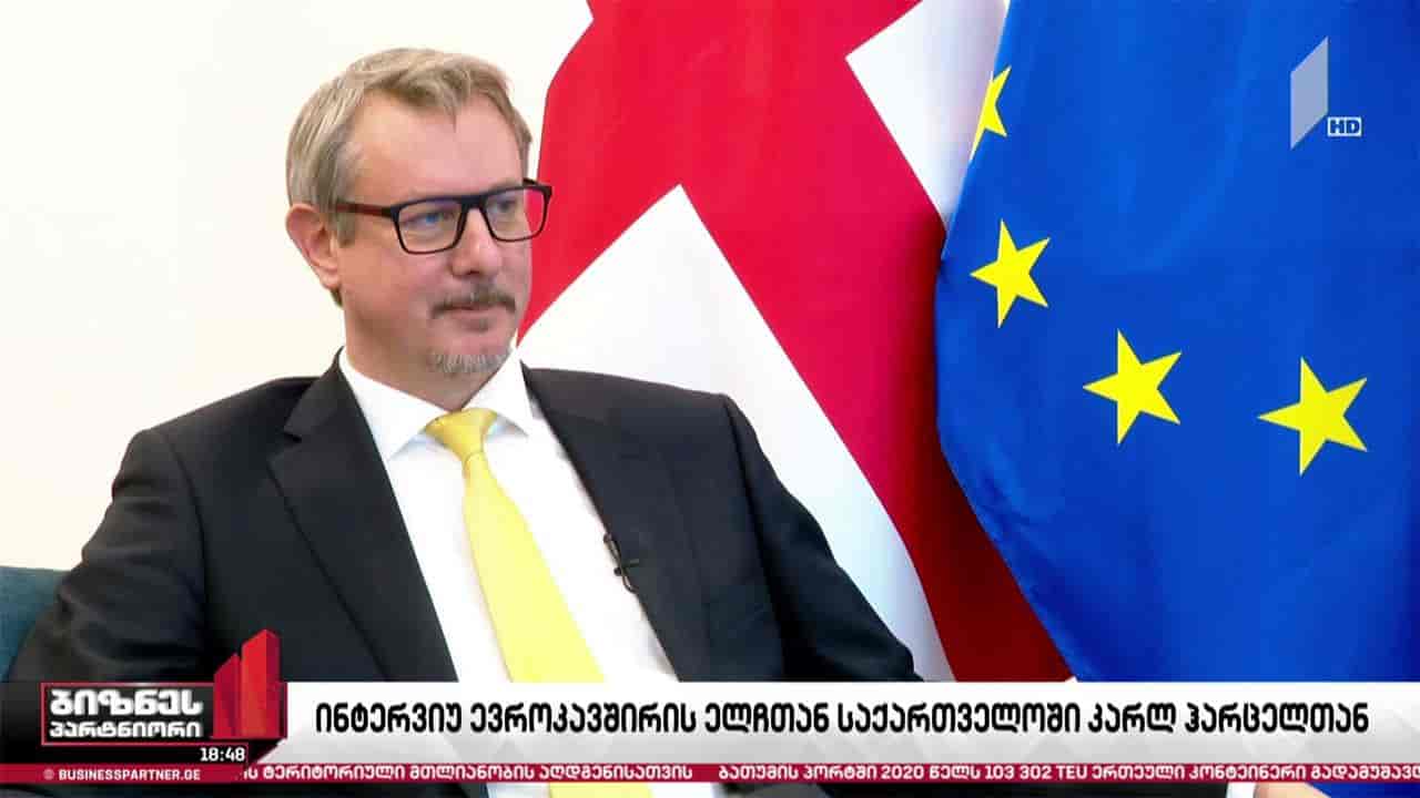 განვითარების რა შესაძლებლობებს ხედავს ევროკავშირი საქართველოს ენერგეტიკის სექტორში?