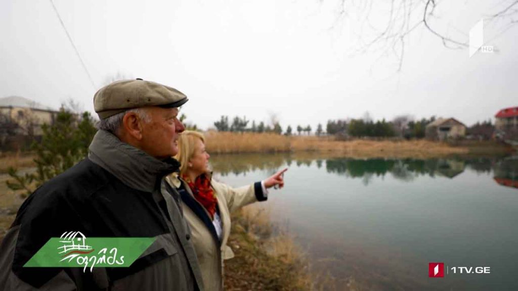#არტიშოკი თბილისიდან ბროწეულში გადასული ოჯახის აგროსაქმიანობა