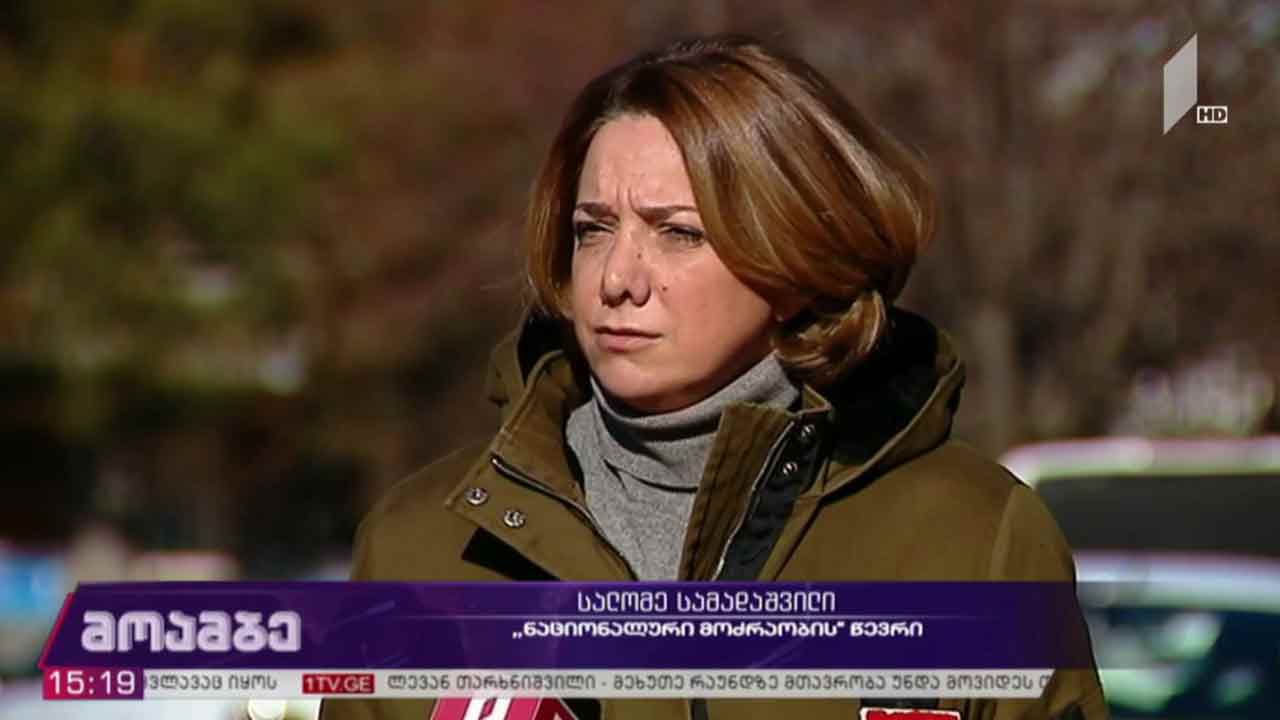 ინციდენტი ბათუმის ბულვარში - სალომე სამადაშვილის პოზიცია