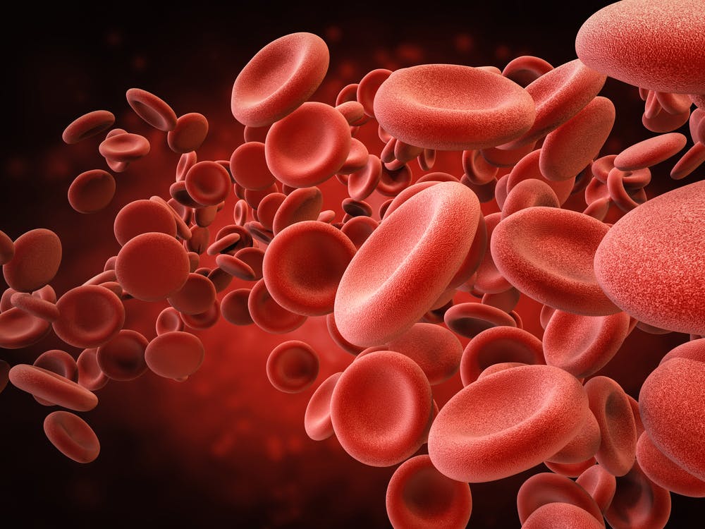 თქვენი სხეული წამში 3,8 მილიონ უჯრედს წარმოქმნის და მათი უმეტესობა სისხლის უჯრედებია — #1tvმეცნიერება