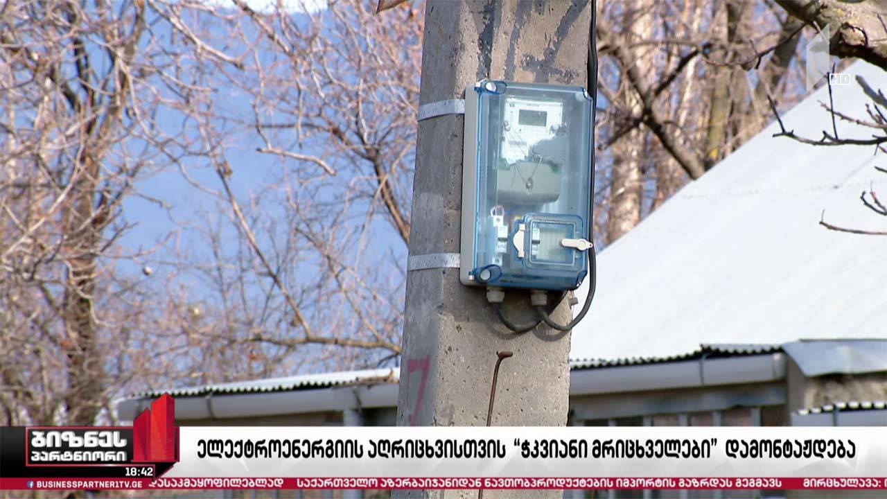 ელექტროენერგიის აღრიცხვისთვის ე.წ. ჭკვიანი მრიცხველები დამონტაჟდება