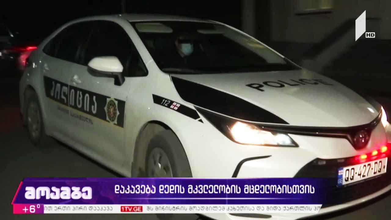 დაკავება დედის მკვლელობის მცდელობისთვის