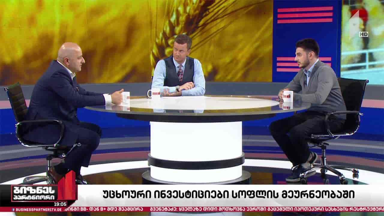 უცხოური ინვესტიციები სოფლის მეურნეობის სექტორში